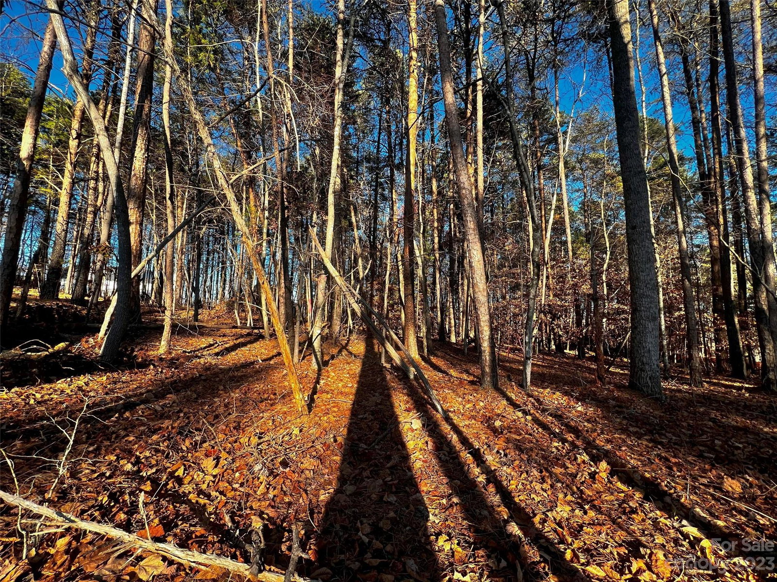 Image Unavailable