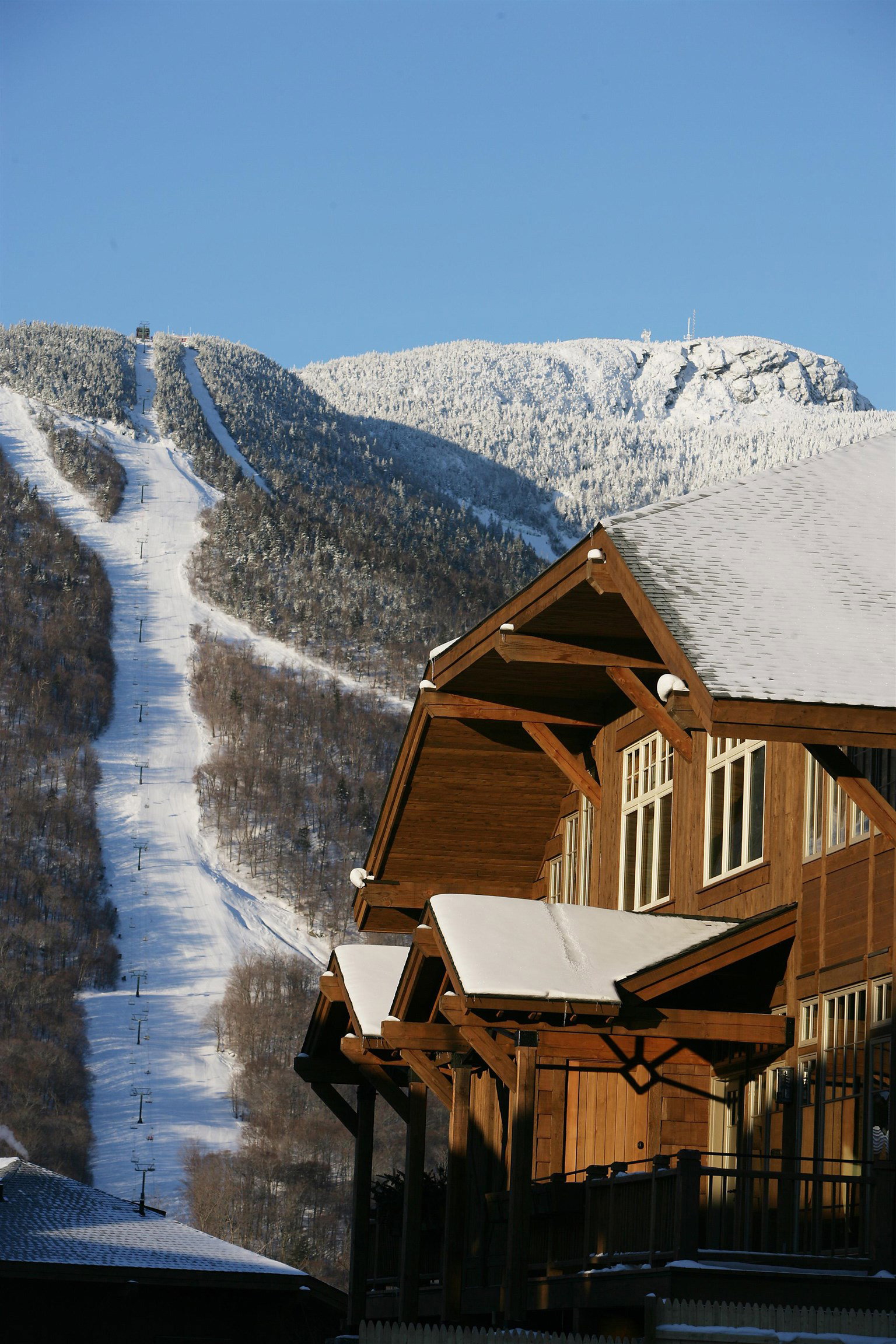 Media Image 1