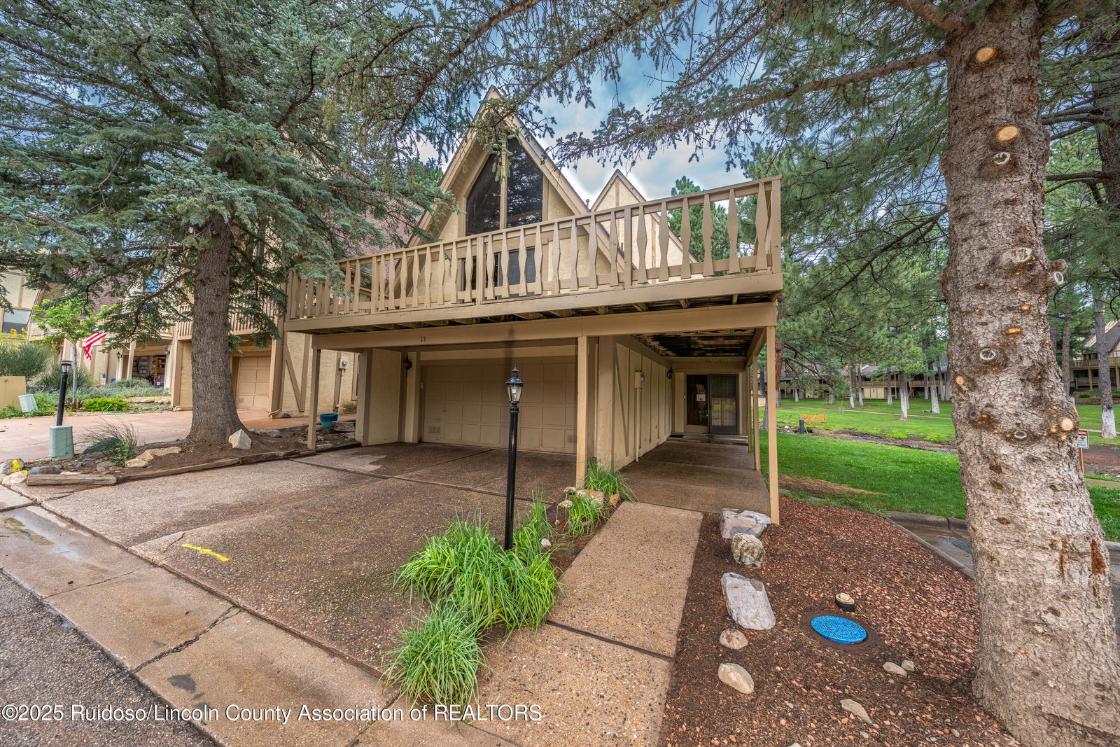 Media Image 1