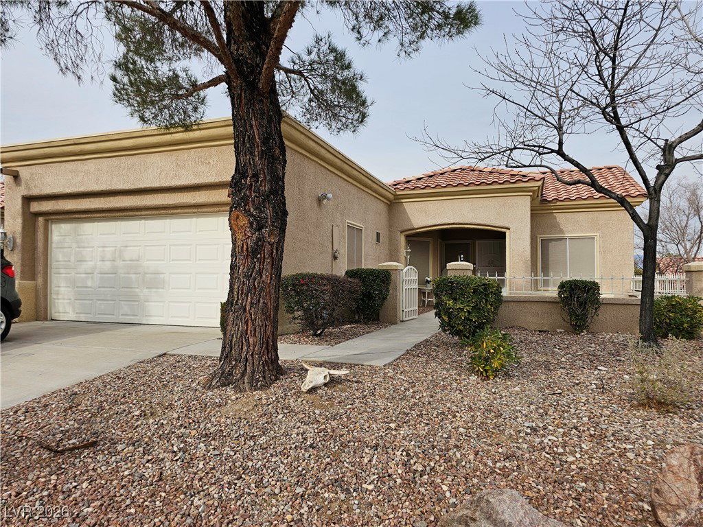 Media Image 1