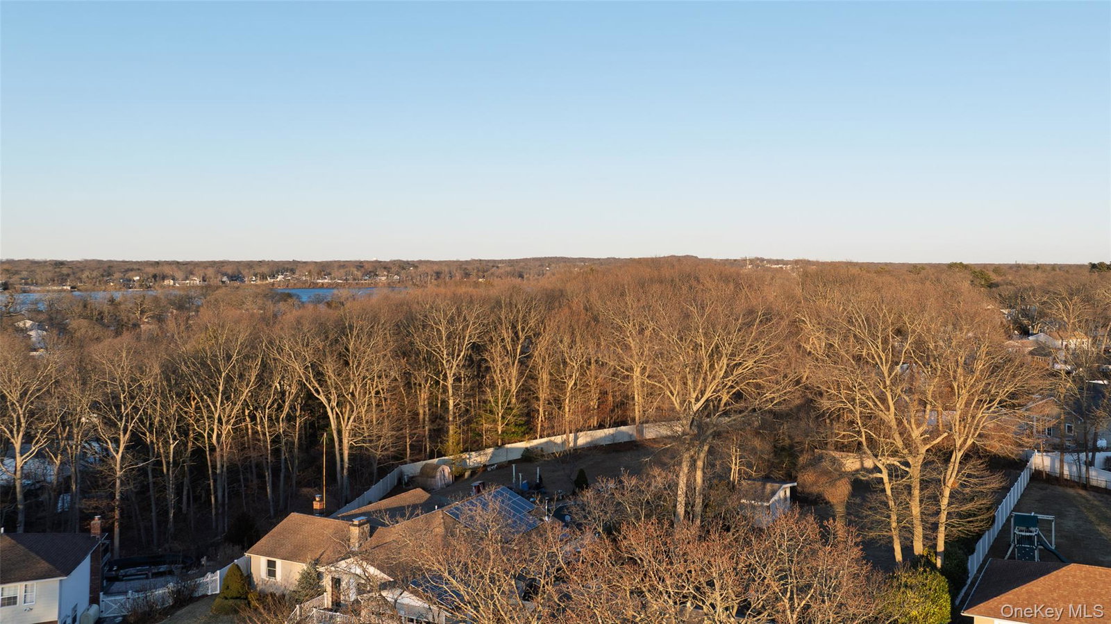 Media Image 1