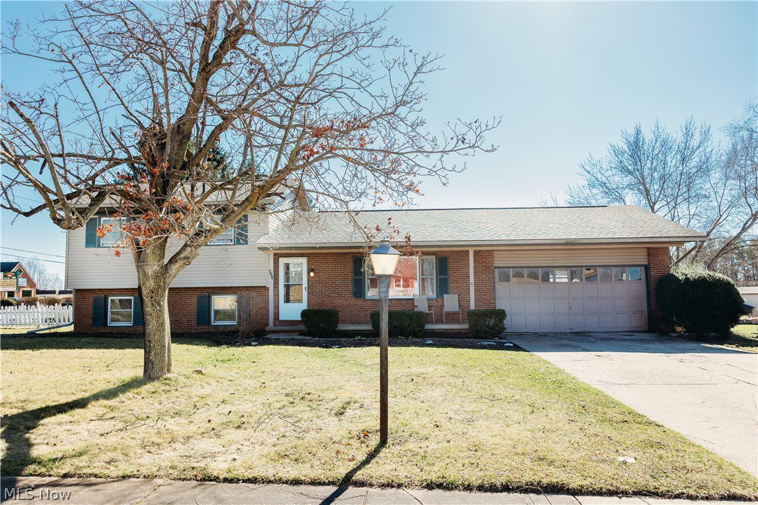 Media Image 2