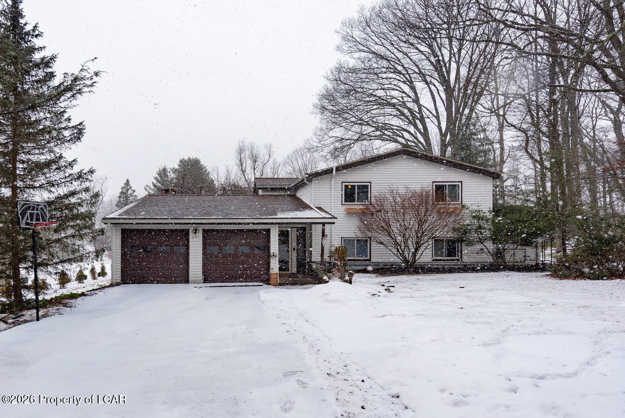 Media Image 1