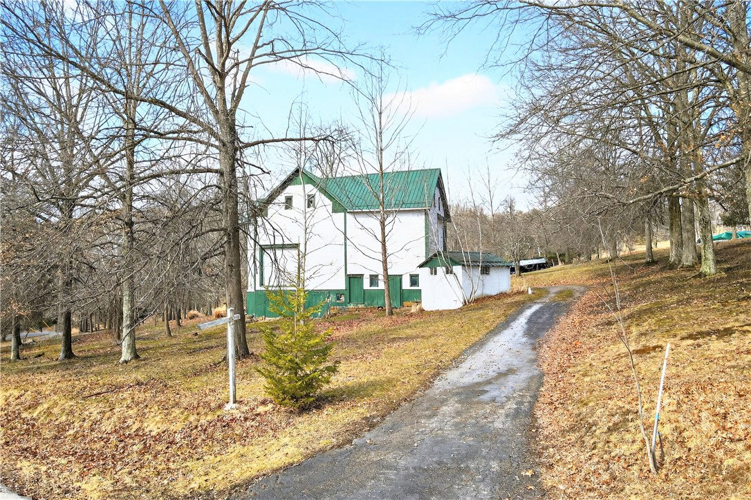 Media Image 2