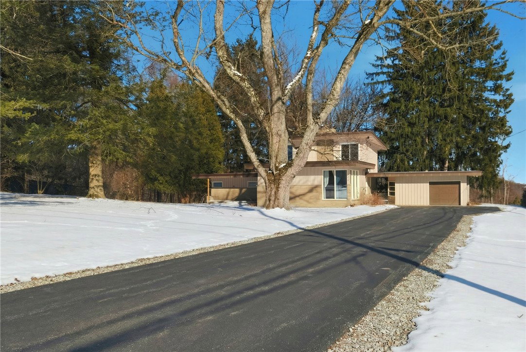 Media Image 3