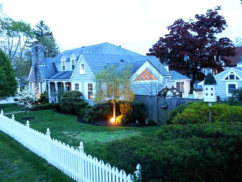 Media Image 2