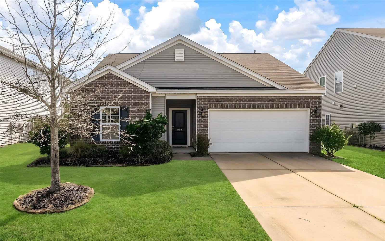 Media Image 1