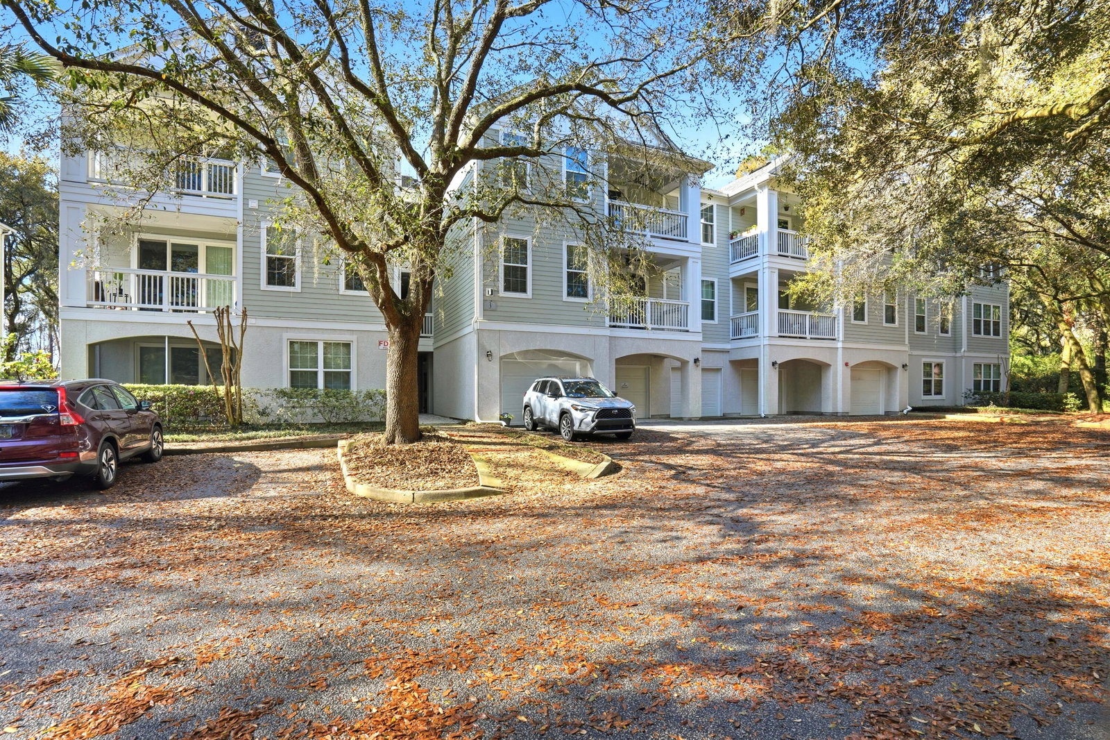 Media Image 1