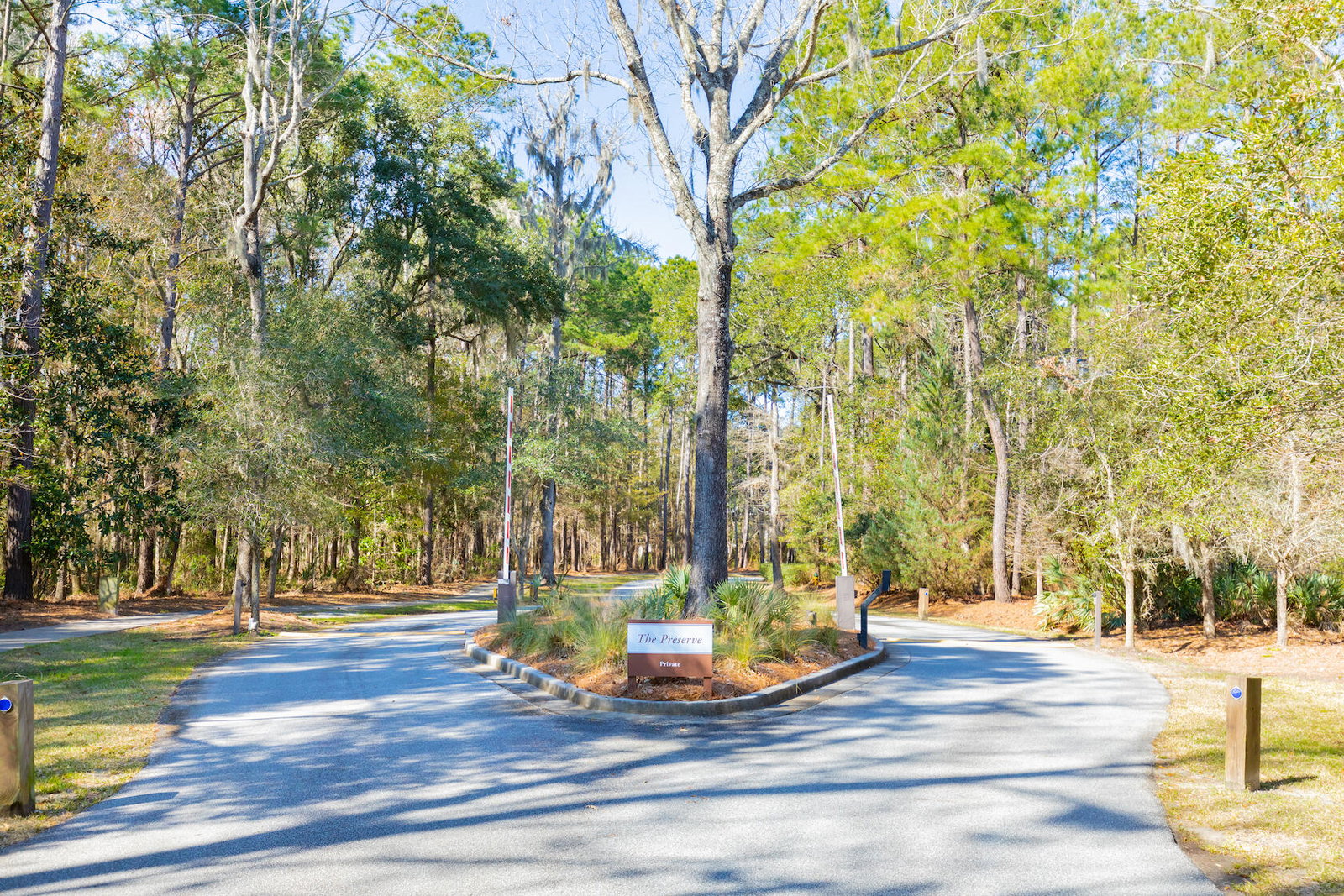 Media Image 2