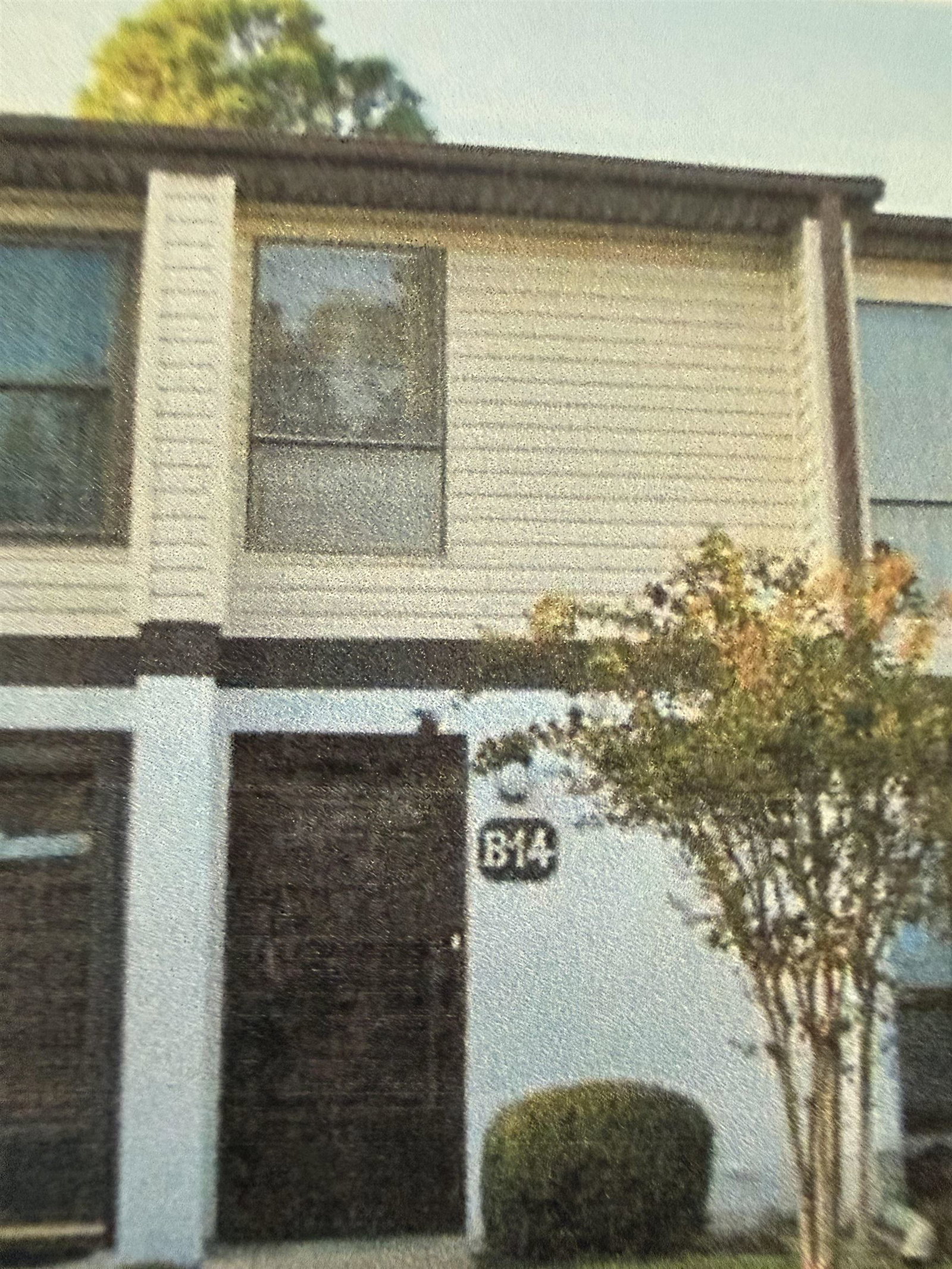 Media Image 1