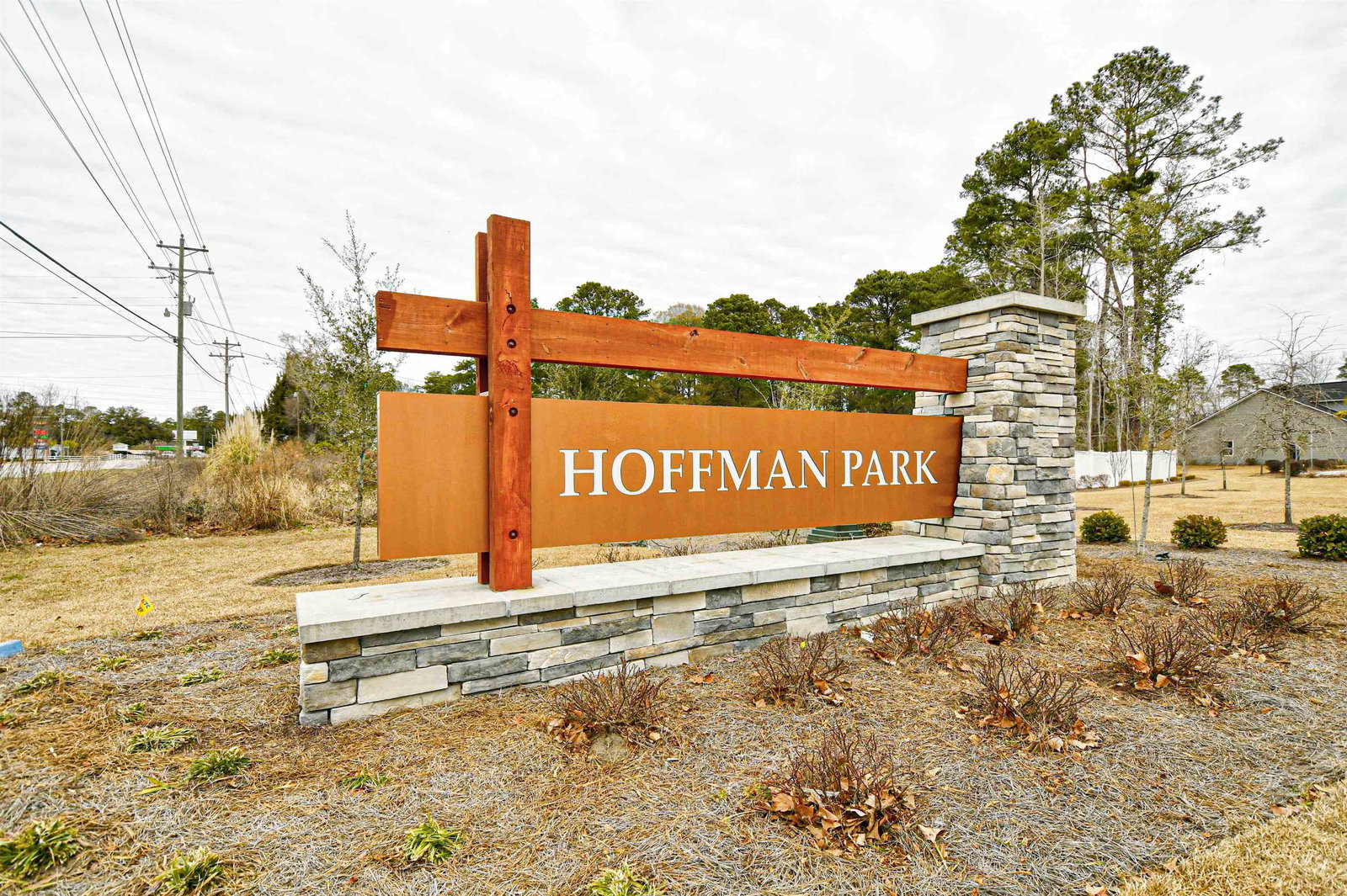 Media Image 2