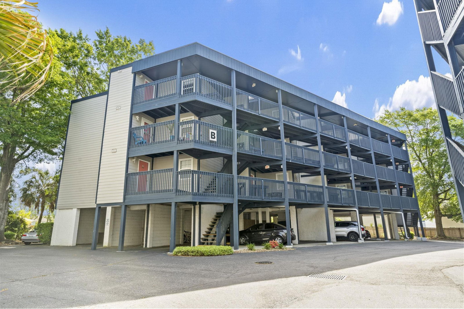 Media Image 1