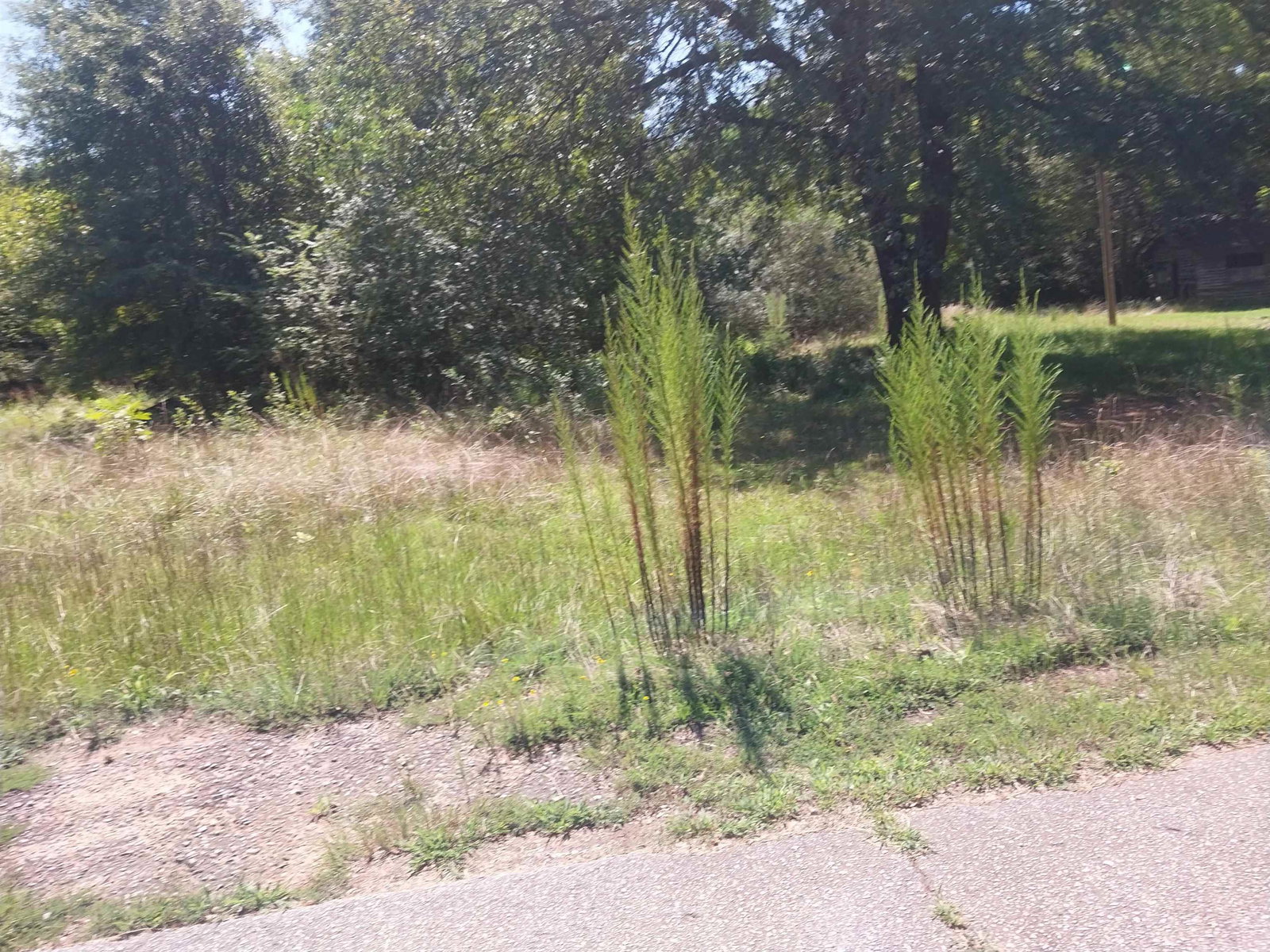 Image Unavailable
