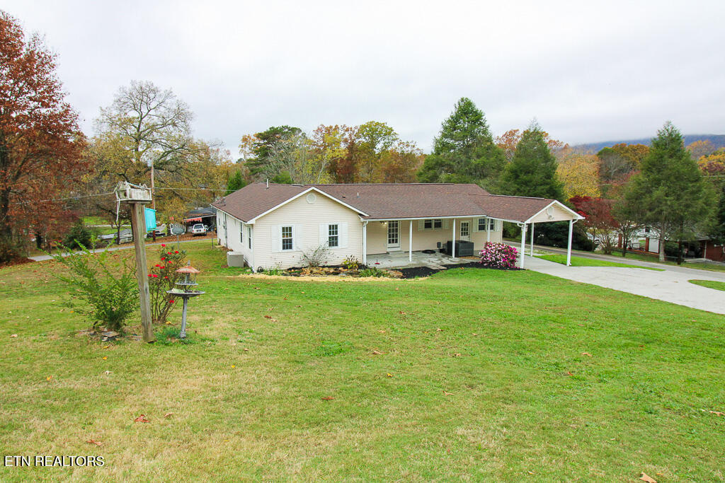 Media Image 2
