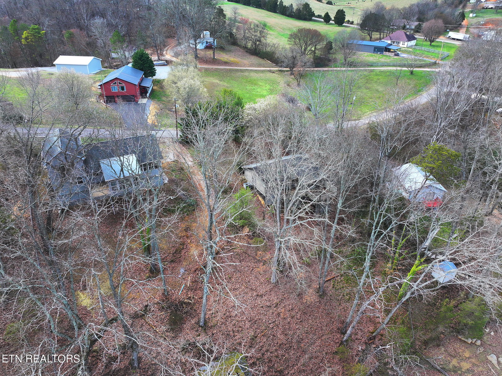 Media Image 3