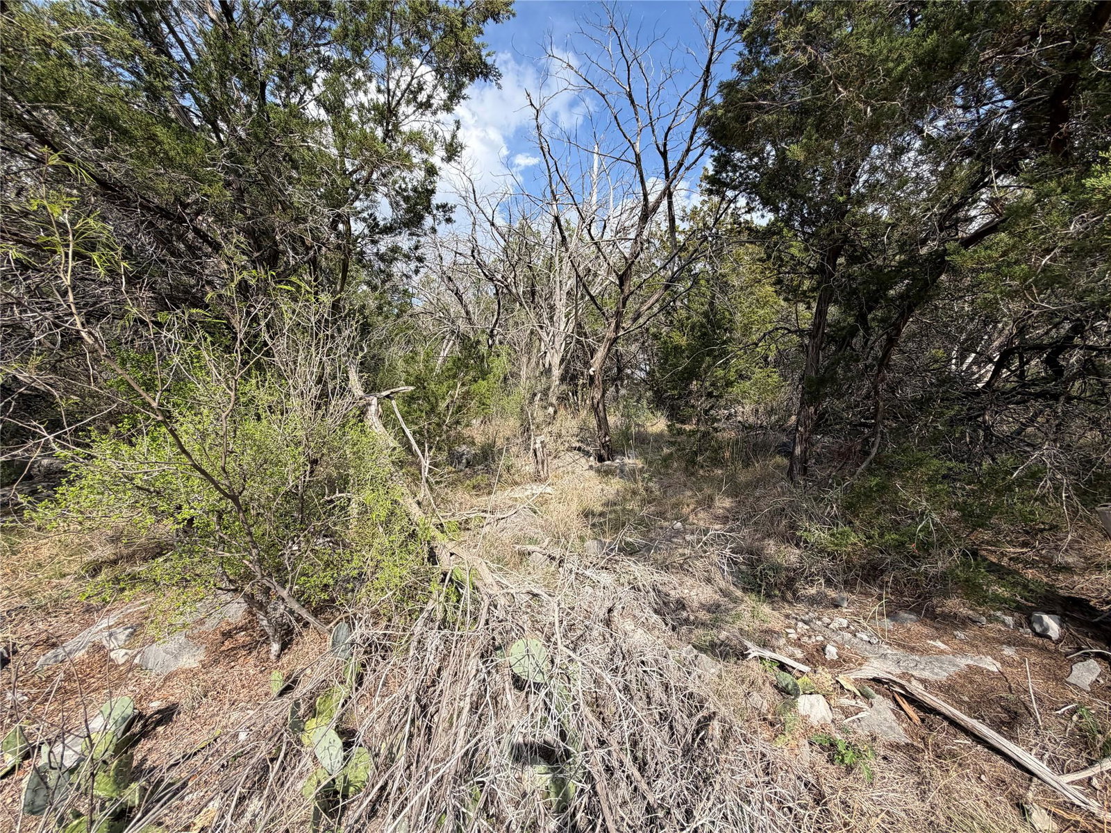 Media Image 1