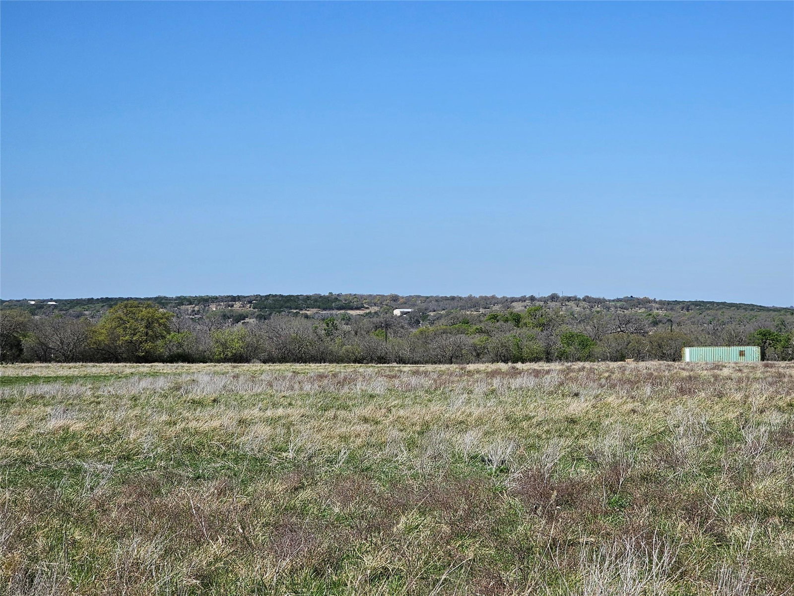 Media Image 2