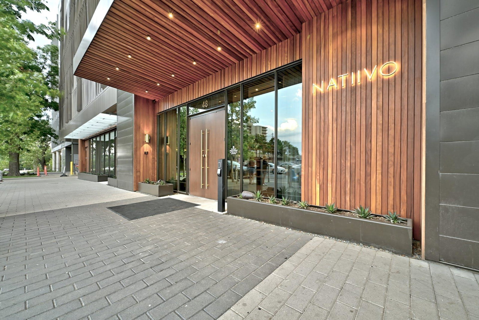 Media Image 3