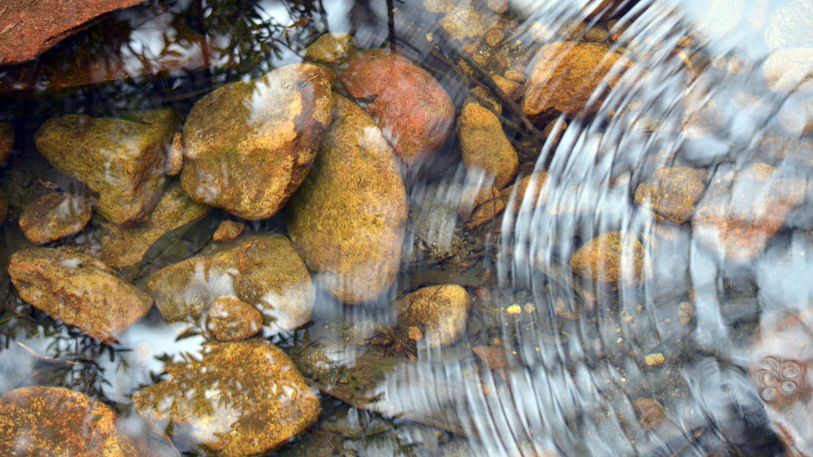 Media Image 3