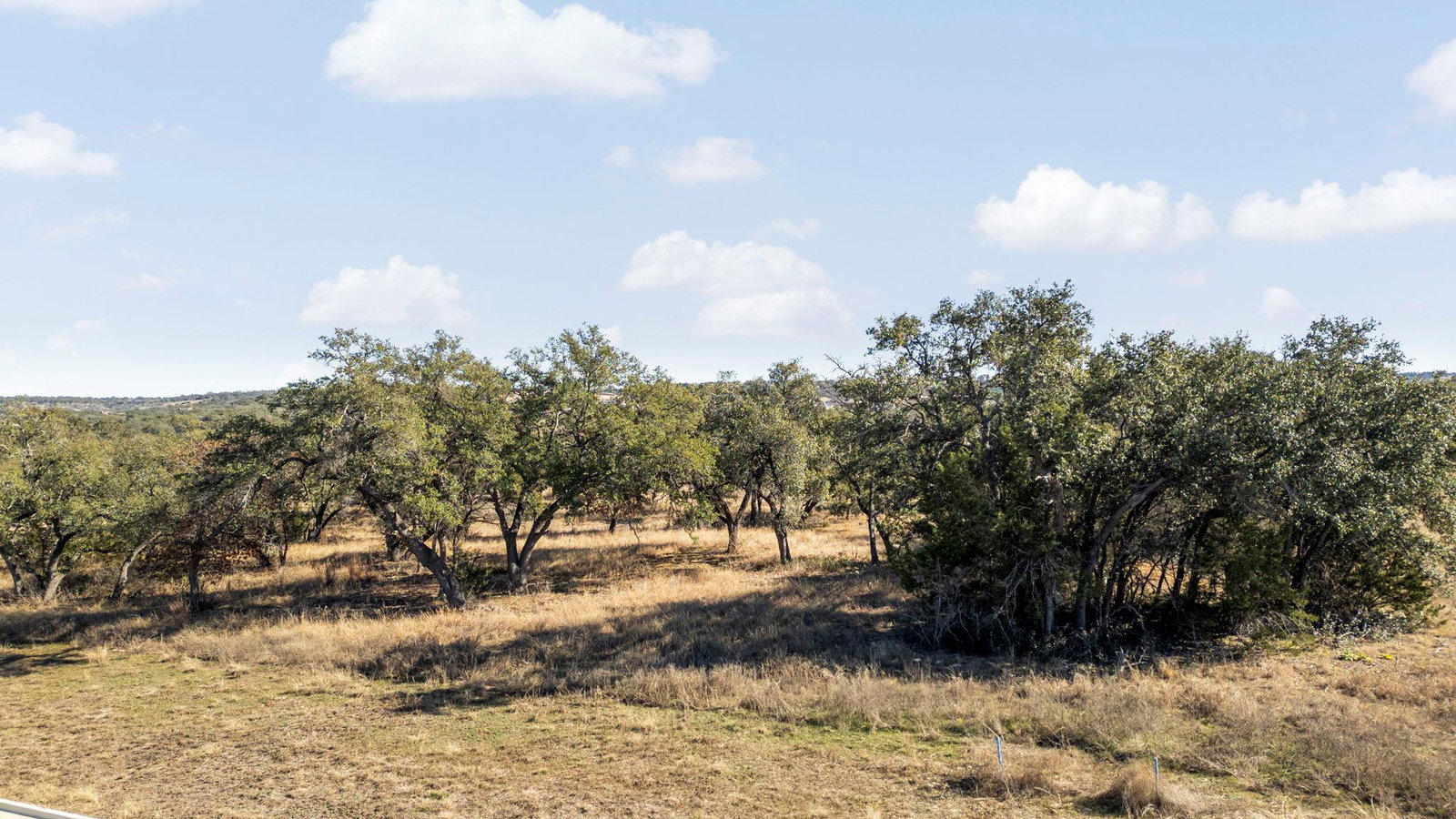 Media Image 2