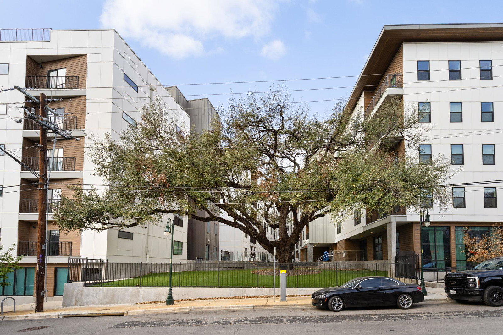 Media Image 1