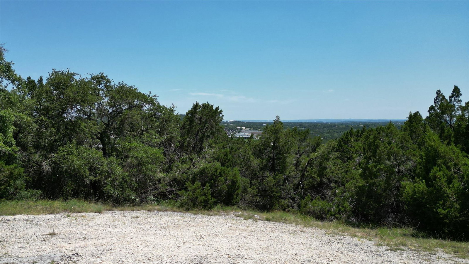 Media Image 1