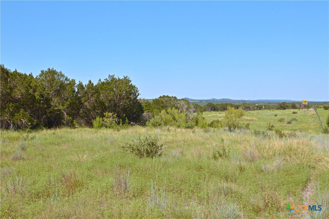 Media Image 3