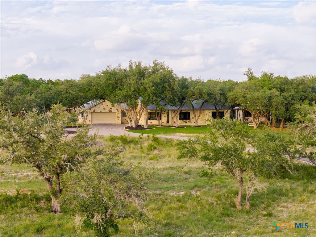 Media Image 1