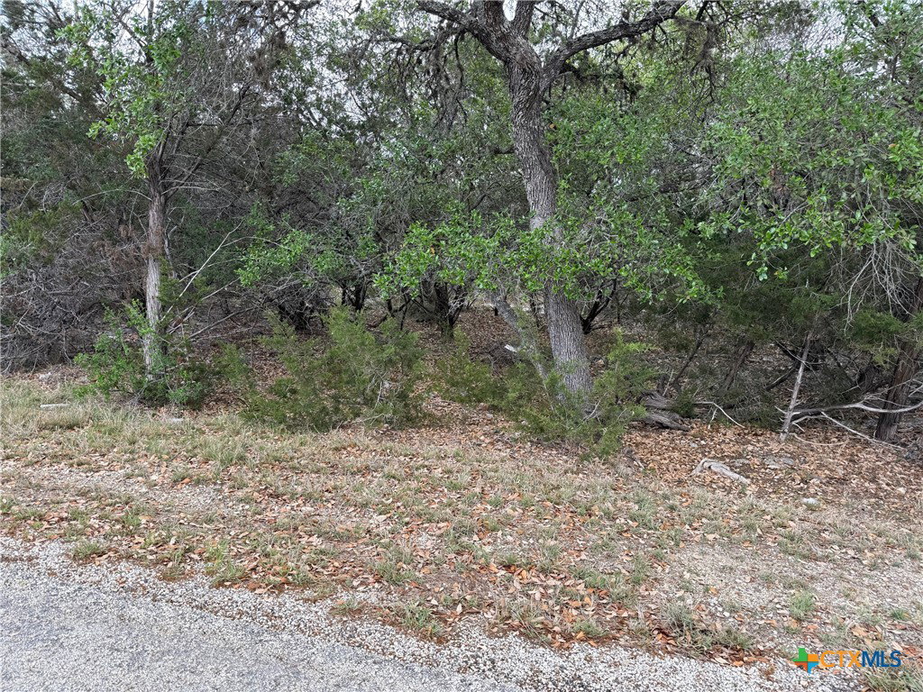 Image Unavailable