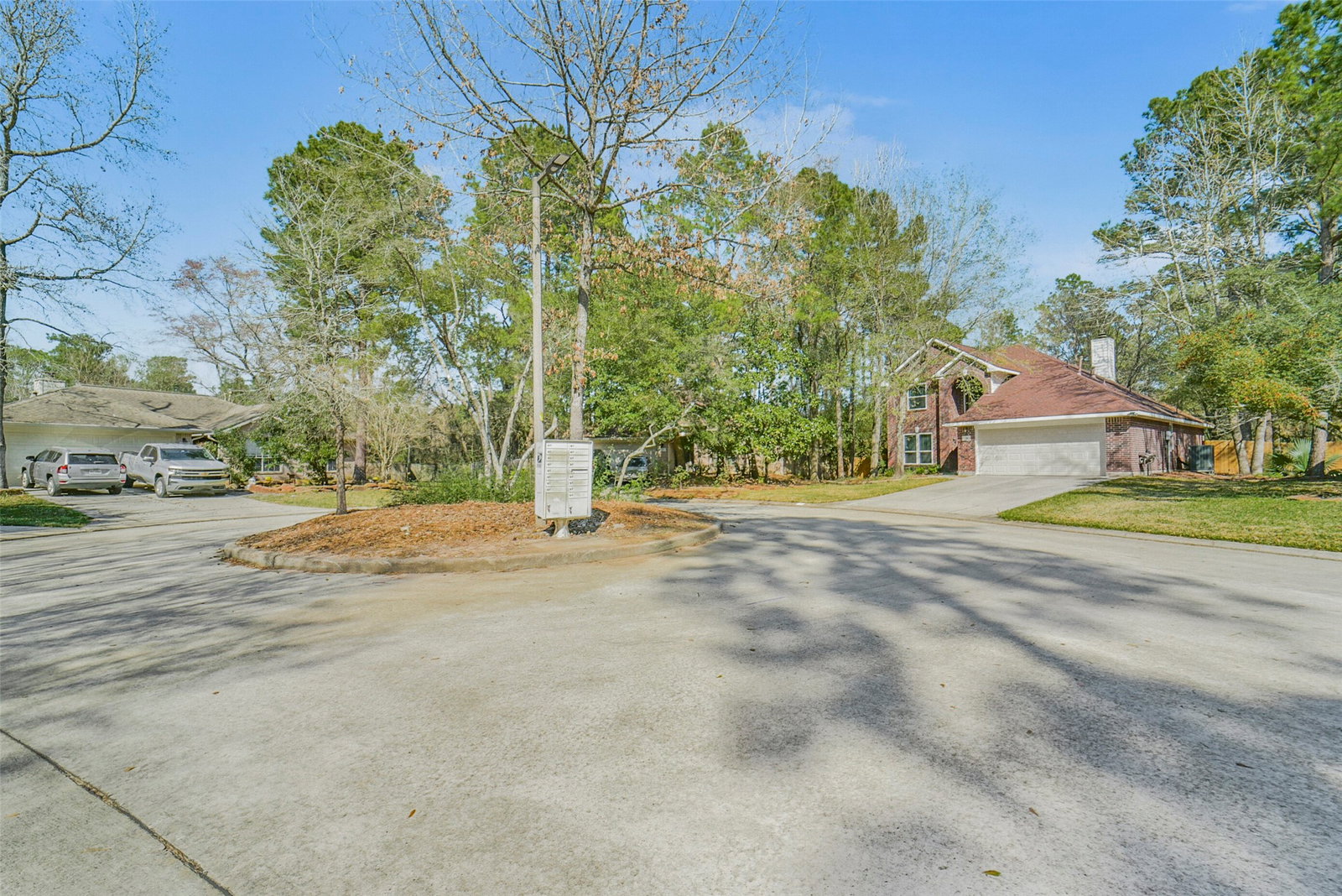 Media Image 2