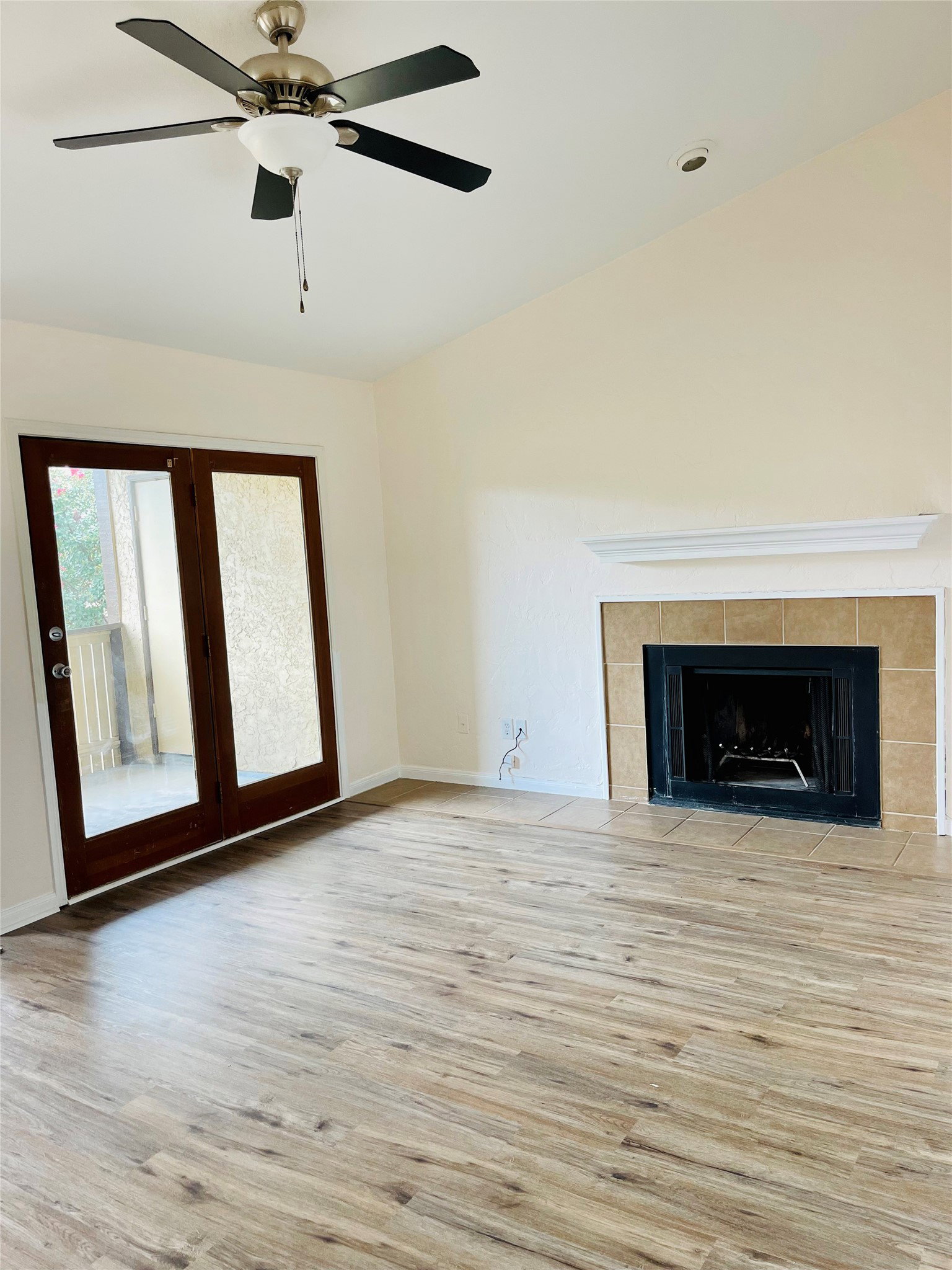 Media Image 3