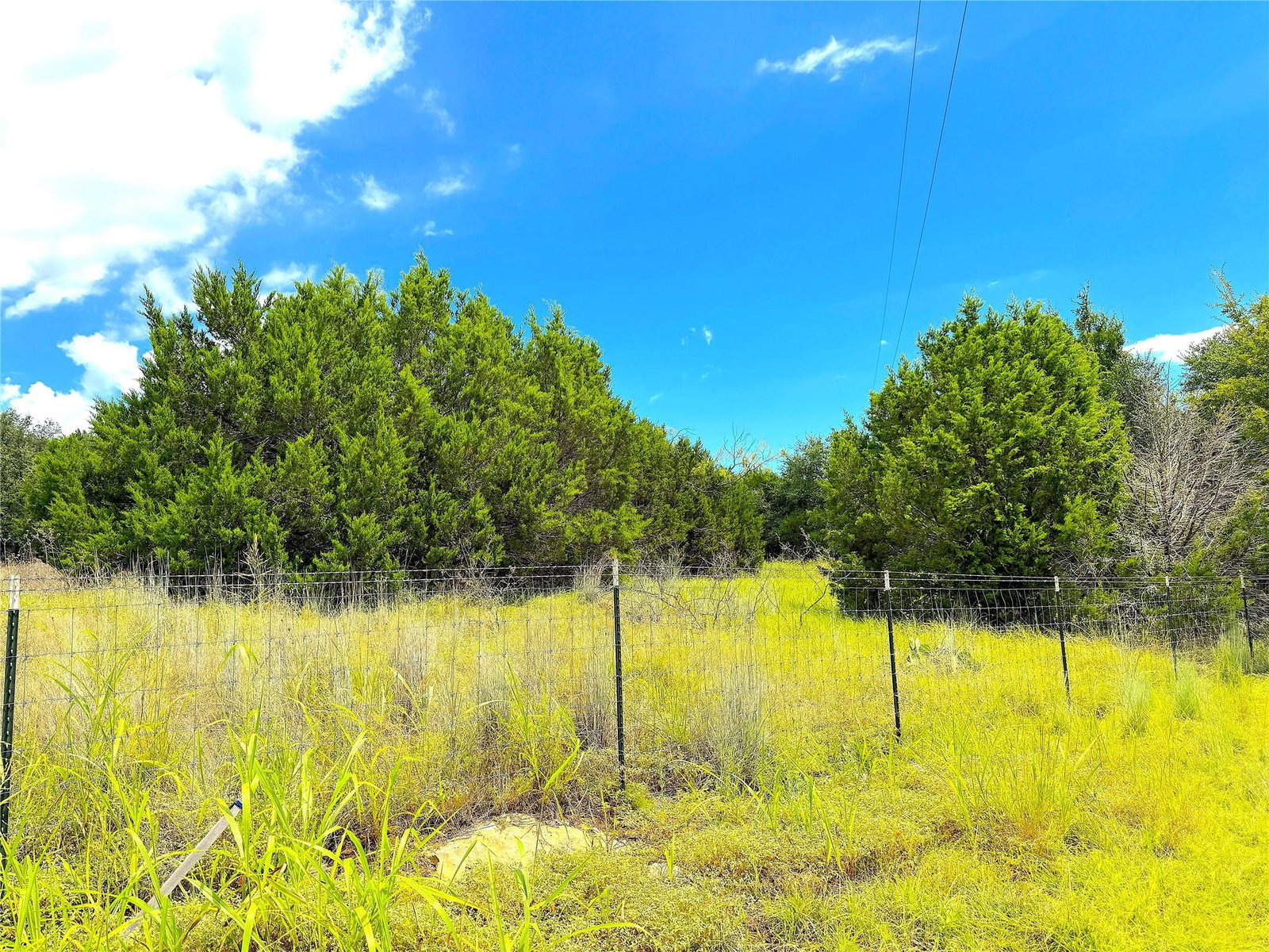 Media Image 2