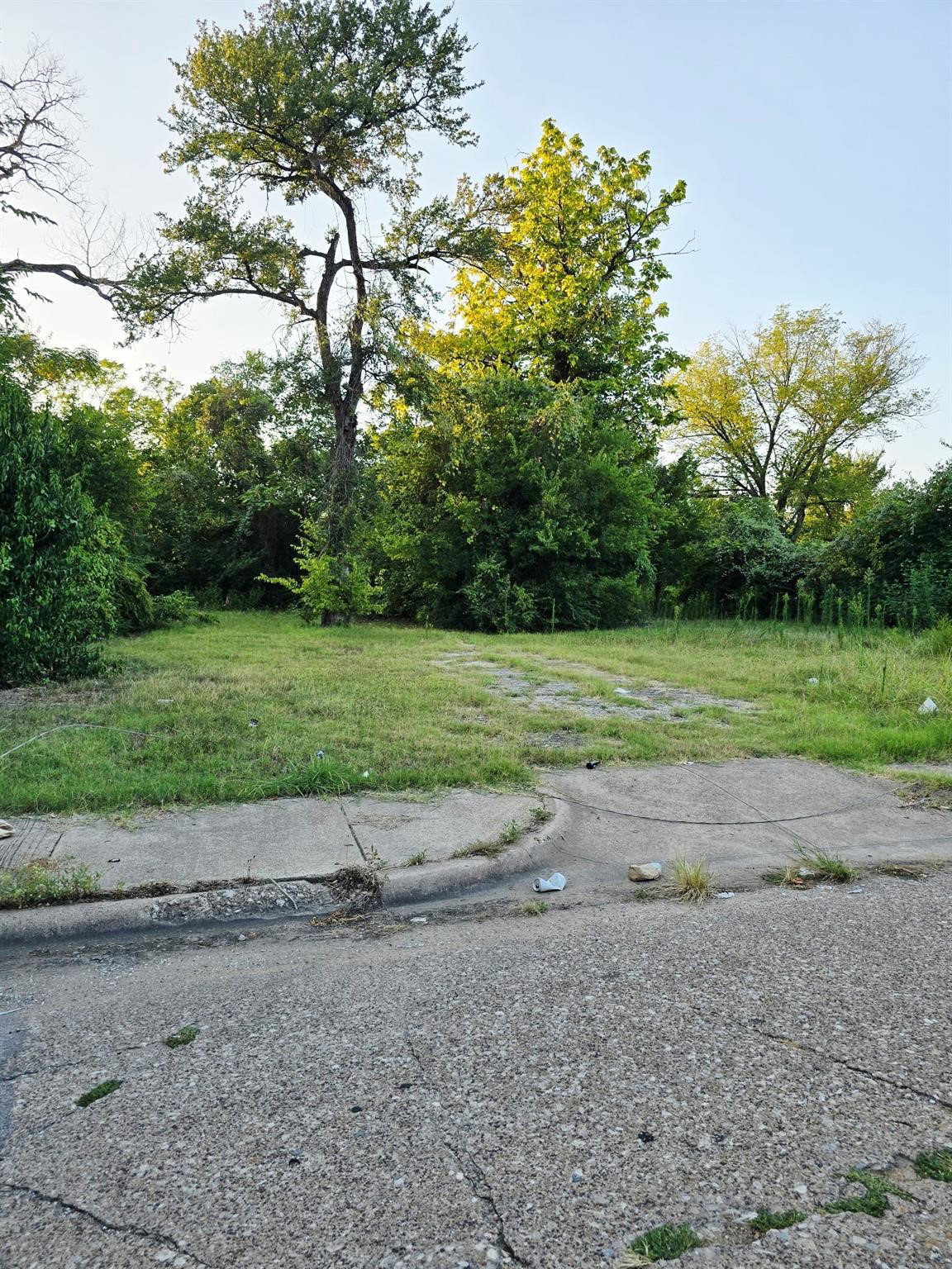 Media Image 1