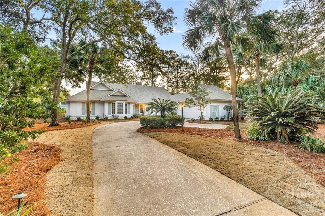 Media Image 1