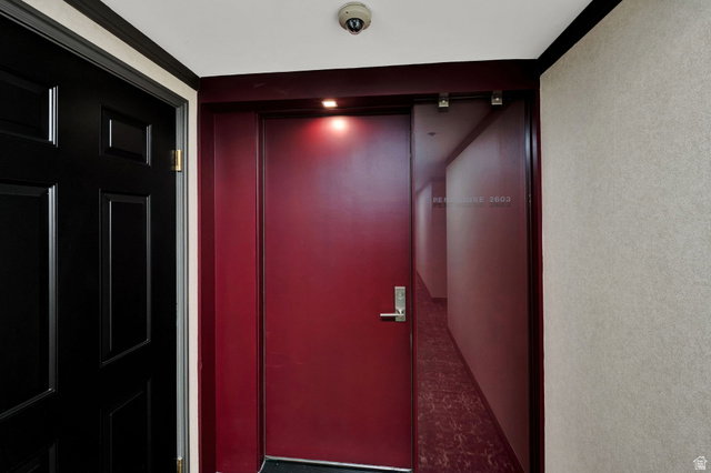 Media Image 3