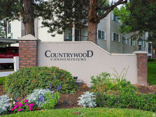 Media Image 1