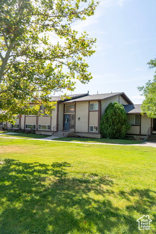 Media Image 1