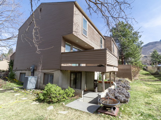 Media Image 1