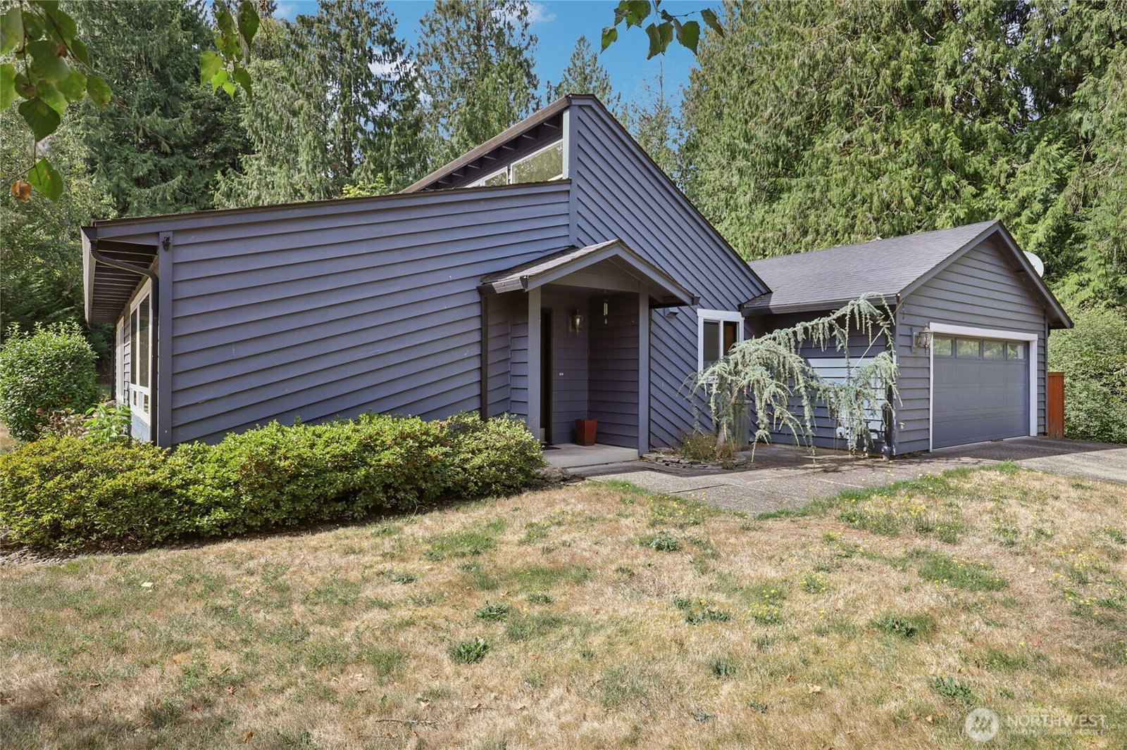 Media Image 2