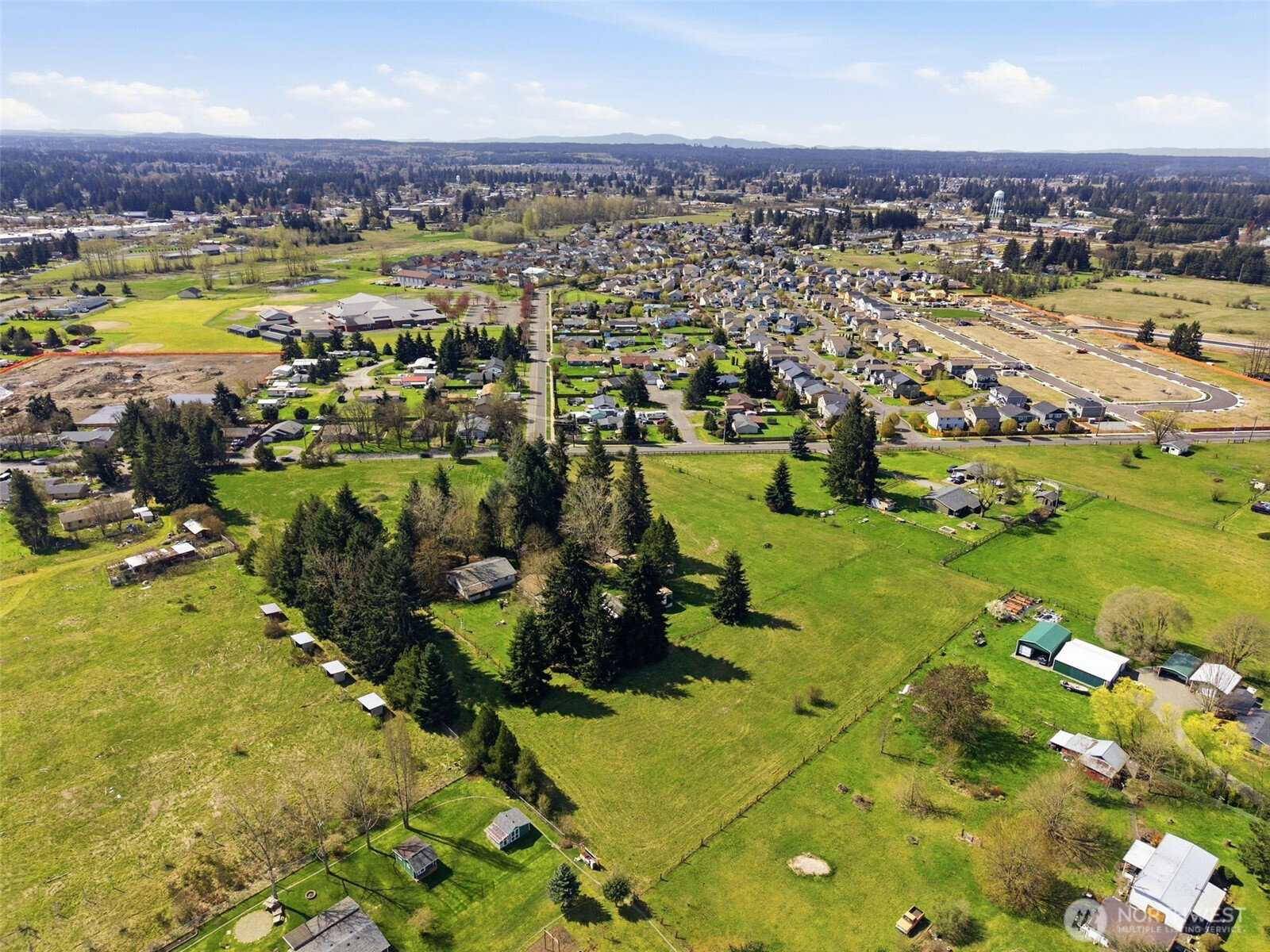 Media Image 3